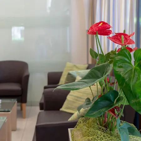 Adigrat מלון ריצ'יונה